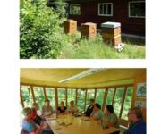 Bienen im Fokus, Bildautoren Mario Tschirn und Jürgen Rother
