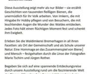 Bienen im Fokus, Bildautoren Mario Tschirn und Jürgen Rother