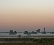 Nebelwiesen bei Greifswald Fotograf: © Thomas Lange