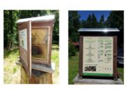Bienen im Fokus, Bildautoren Mario Tschirn und Jürgen Rother