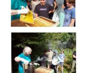 Bienen im Fokus, Bildautoren Mario Tschirn und Jürgen Rother