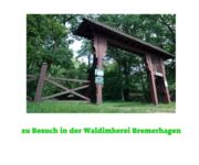 Bienen im Fokus, Bildautoren Mario Tschirn und Jürgen Rother