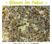 Summende Wunder - Bienen im Fokus, Bildautoren Mario Tschirn und Jürgen Rother