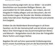 Bienen im Fokus, Bildautoren Mario Tschirn und Jürgen Rother